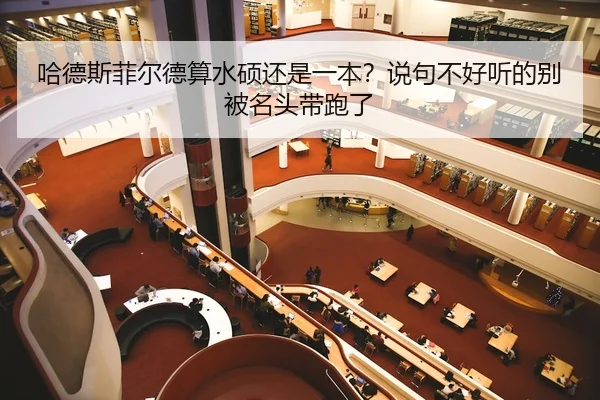 ha-de-si-fei-er-de-suan-shui-shuo-hai-shi-yi-ben-shuo-ju-bu-hao-ting-de-bie-bei-ming-tou-dai-pao-le-2-447.jpg